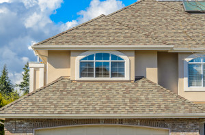 The asphalt shingle roof of an American home